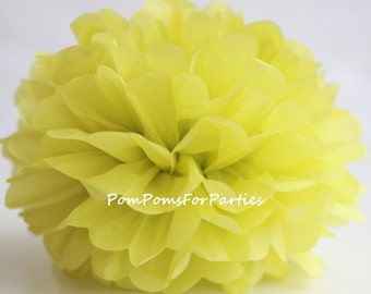 1 High Quality PISTACHIO Tissue Pom Pom - Choose any of 60 colours - Hanging  Paper flower - Tissue paper balls - Tissue paper pom poms