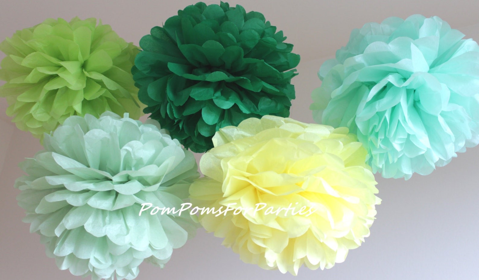 Set of 12 7L/5M Hanging Tissue Pom Poms Wedding Etsy