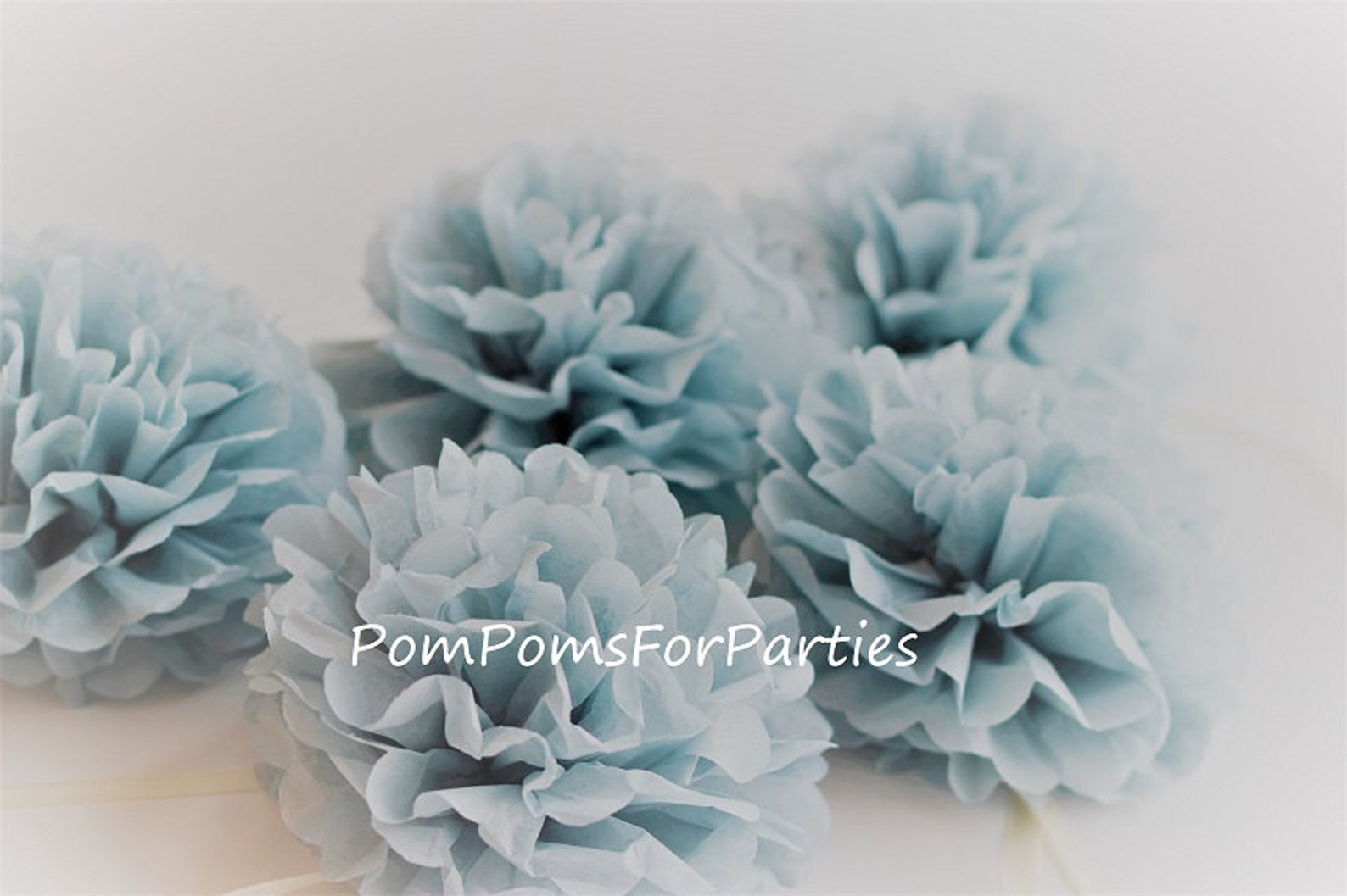 50 SMALL Tissue Paper Pom poms for your festival Blush Etsy