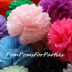 10 (5M/5S) Carta Velina Pom poms - Matrimonio - Festa di compleanno - Battesimo - Festa di compleanno a tema - Sposa - Decorazioni per l'infanzia - Battesimo