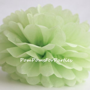 May include: A light green tissue paper pom pom, also known as a paper flower, with the text "PomPomsForParties" in the center.