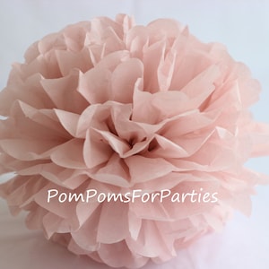 1 Rosa Cenere EXTRA LARGE (19") Formato Tissue Pom Pom Pom - Fiore di carta appesa - Palline di carta velina - Pom pom di carta velina - Fiori di tessuto