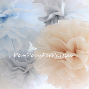 Set de fiesta - 20 unidades de papel tamaño MEDIANO (9&#39;&#39;) Pompones