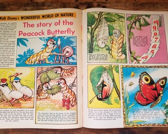 Books & Ephemera