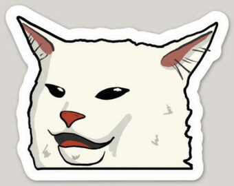 Smudge The Cat Memes Imgflip