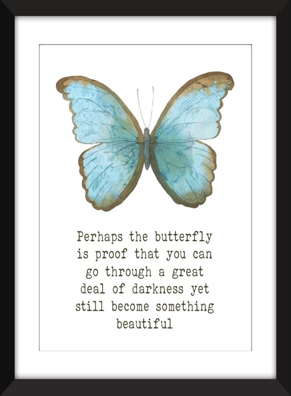 Download Zitat schmetterling Free
