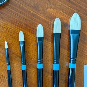May include: A collection of five artist paint brushes with black handles, white bristles, and blue accents. The brushes vary in size, with the largest brush appearing to be approximately 1.5 inches wide. The brushes are arranged on a wooden surface.