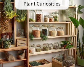 Plant Specimen Mystery Bundle – Botany Science Materials for Analysis or Display
