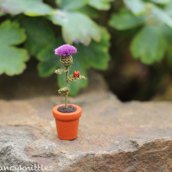 Thistle in a Pot Miniature Crochet Flower Plant, Scottish Thistle Dollhouse Fairy Garden, Collectable Scotland's National Aries Flower Decor