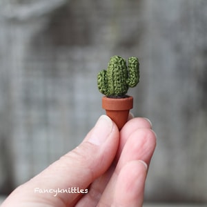 Cactus plant crocheted miniature. Potted plant. Green crochet cactus. Saguaro cactus, mexican,