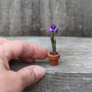 May include: A small crocheted purple iris flower in a terracotta pot. The flower is sitting on a wooden surface.