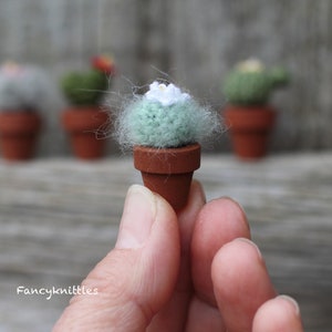 Pu&ograve; includere: Un piccolo cactus verde all'uncinetto con fiori bianchi in un vaso di terracotta. Il cactus &egrave; tenuto in una mano su uno sfondo di legno.