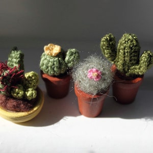 Pu&ograve; includere: Quattro piccole piante di cactus all'uncinetto in vasi di terracotta. I cactus sono di diversi colori e trame, tra cui verde, grigio e rosso.