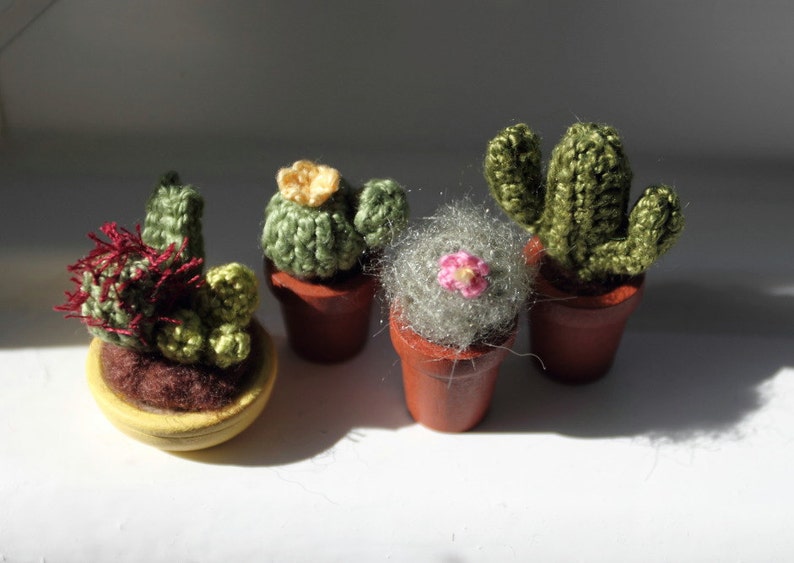 Pu&ograve; includere: Quattro piccole piante di cactus all'uncinetto in vasi di terracotta. I cactus sono di diversi colori e trame, tra cui verde, grigio e rosso.