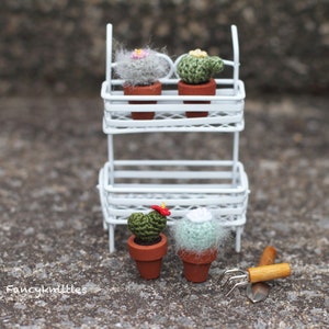 Pu&ograve; includere: Un'unit&agrave; a scaffale in metallo bianco con quattro piccoli cactus all'uncinetto in vaso. I cactus sono verdi e hanno fiori rosa, gialli e rossi. Un piccolo attrezzo da giardinaggio si trova a terra davanti allo scaffale.