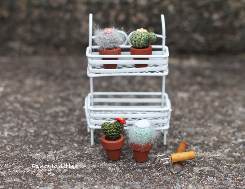 Pu&ograve; includere: Un'unit&agrave; a scaffale in metallo bianco con quattro piccoli cactus all'uncinetto in vaso. I cactus sono verdi e hanno fiori rosa, gialli e rossi. Un piccolo attrezzo da giardinaggio si trova a terra davanti allo scaffale.