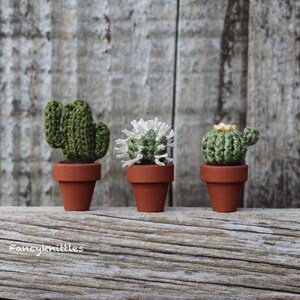 Miniature Cactus Crochet Plant in Wooden Pot, Collectable, Amigurumi ...