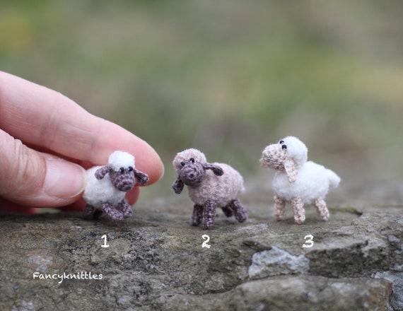 その他 Wagnus baby sheep mini to mini shutterstock_2093279782-1.jpg