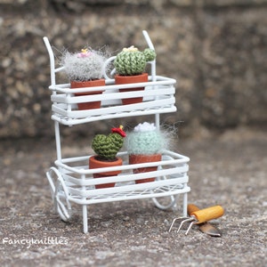 Pu&ograve; includere: Un supporto in metallo bianco a due livelli con quattro piccole piante in vaso. Le piante sono all'uncinetto e assomigliano a cactus. Il supporto ha delle ruote e un piccolo attrezzo da giardinaggio &egrave; a terra davanti ad esso.