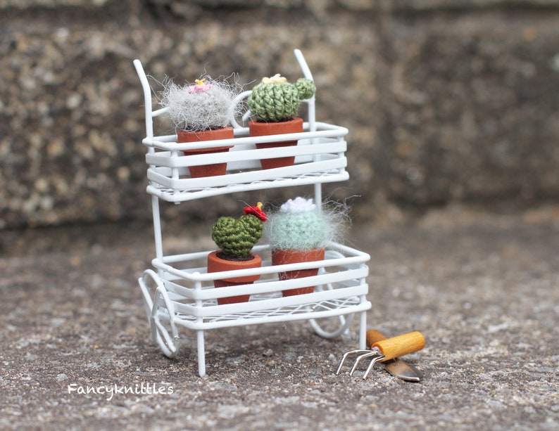 Pu&ograve; includere: Un supporto in metallo bianco a due livelli con quattro piccole piante in vaso. Le piante sono all'uncinetto e assomigliano a cactus. Il supporto ha delle ruote e un piccolo attrezzo da giardinaggio &egrave; a terra davanti ad esso.