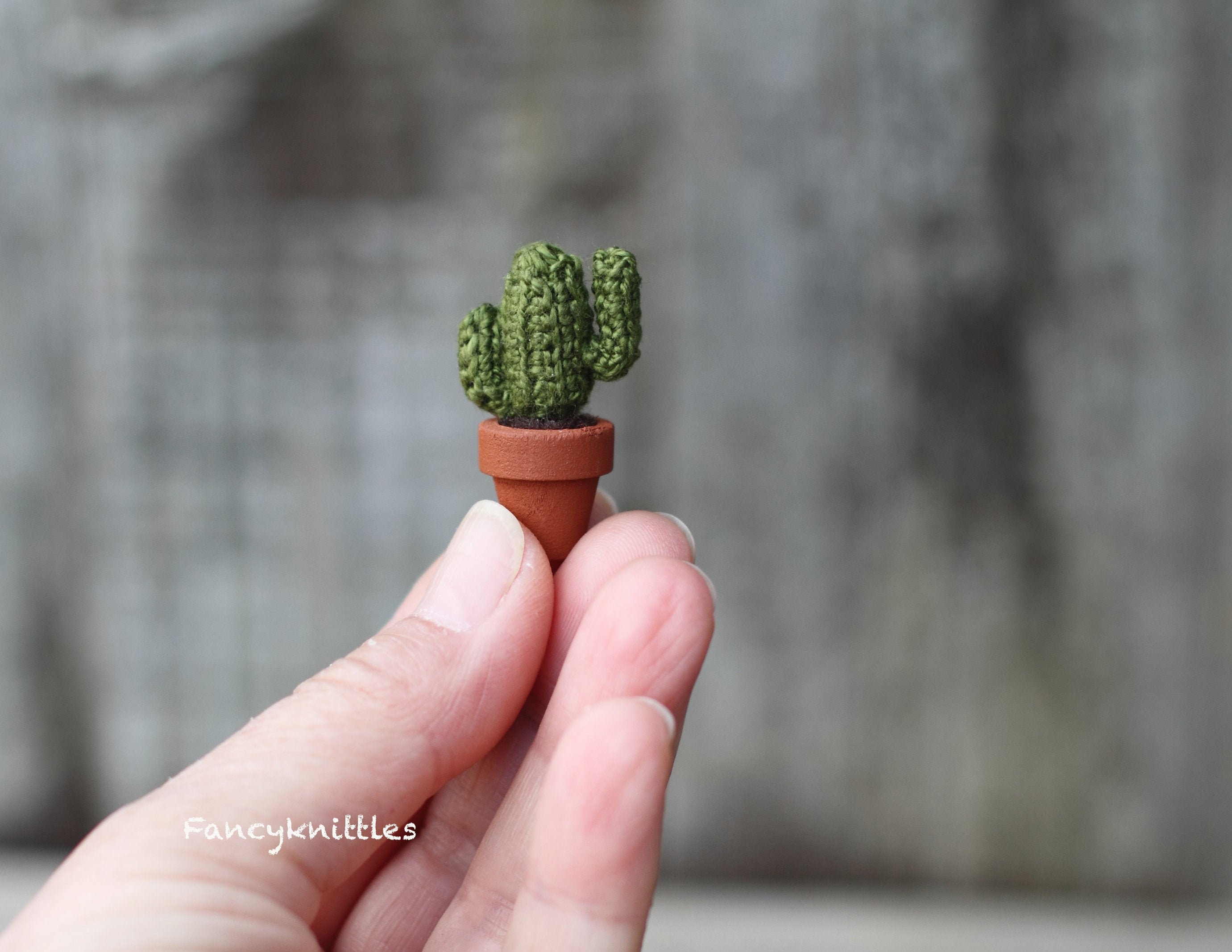 Kaktus Pflanze gehkelte Miniatur. Topfpflanze. Grner gehkelter Kaktus.  Saguaro Kaktus, Mexikanische, - Etsy sterreich
