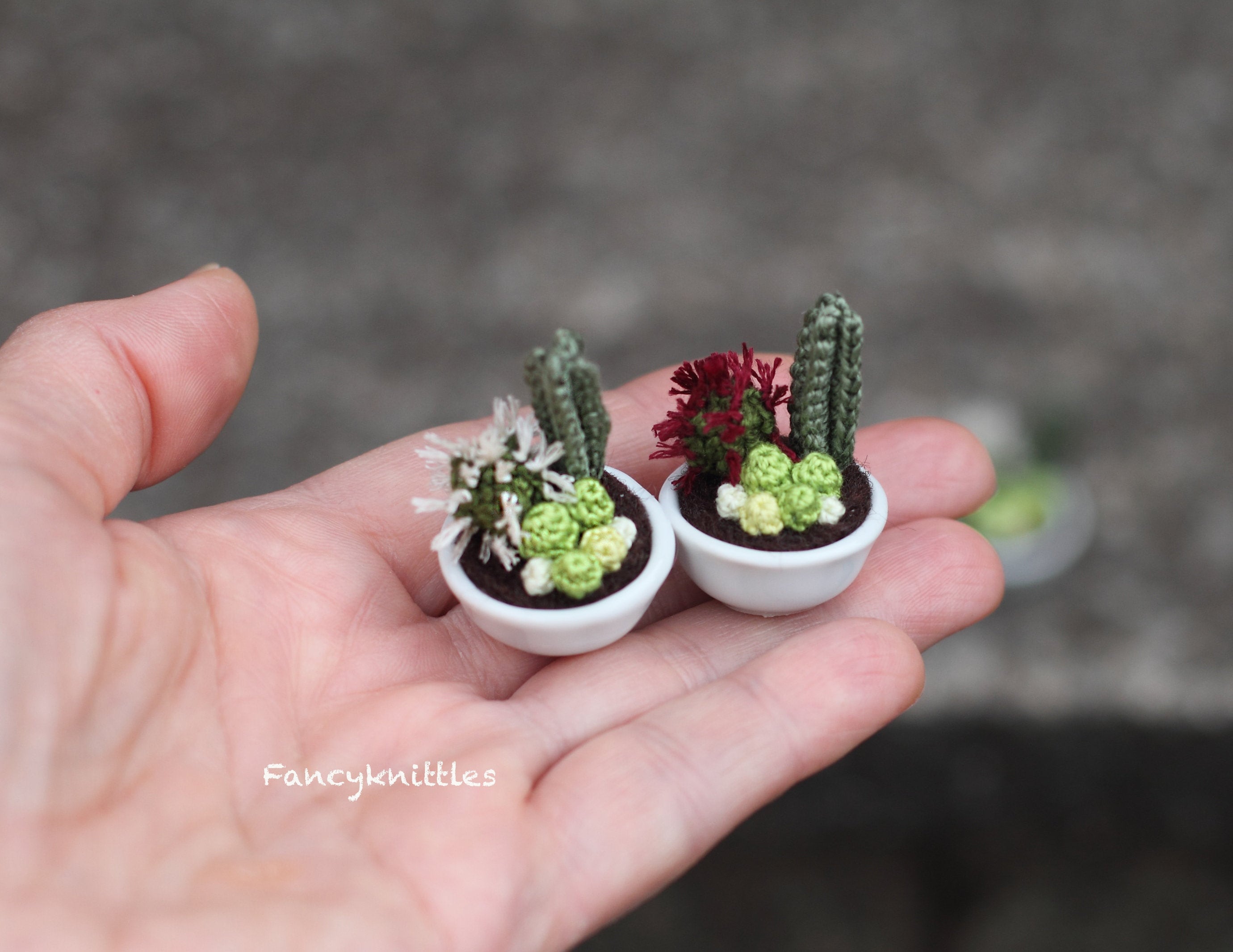 BELLE VOUS Mini Plante Artificielle Interieur Succulente en Pot Gris (6  Pièces) - Fausse Plante Cactus & Succulentes - pour Maison, Bureau, Table  et Salle de Bains : : Cuisine et Maison