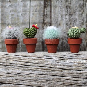 Pu&ograve; includere: Cinque cactus in miniatura all'uncinetto in vasi di terracotta. I cactus sono di diverse variet&agrave;, tra cui un cactus spinoso, un cactus peloso e un cactus a forma di cuore.