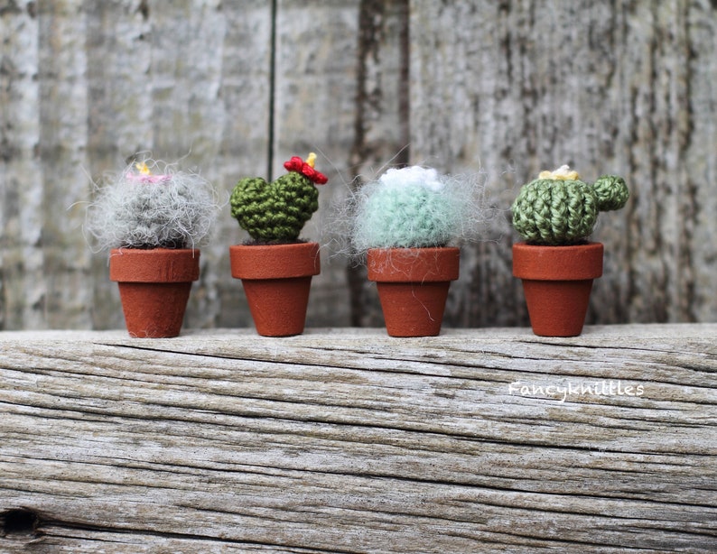 Pu&ograve; includere: Cinque cactus in miniatura all'uncinetto in vasi di terracotta. I cactus sono di diverse variet&agrave;, tra cui un cactus spinoso, un cactus peloso e un cactus a forma di cuore.
