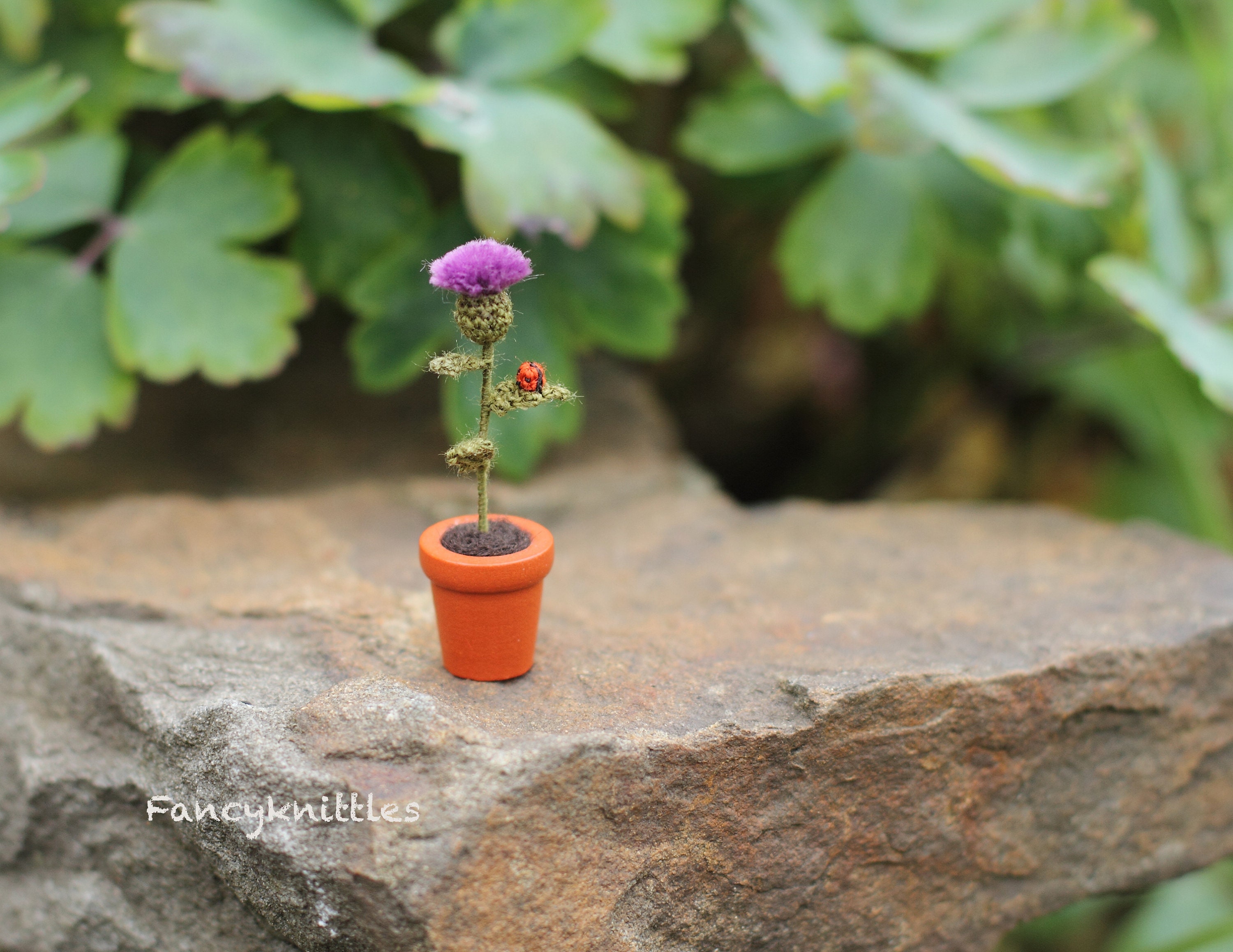 Thistle in a Pot Miniature Crochet Flower Plant, Scottish Thistle