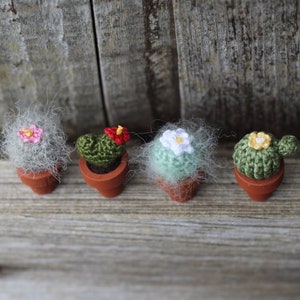 Pu&ograve; includere: Quattro cactus in miniatura all'uncinetto in vasi di terracotta. I cactus sono di diversi colori e hanno piccoli fiori in cima.