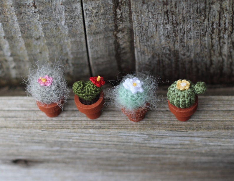Pu&ograve; includere: Quattro cactus in miniatura all'uncinetto in vasi di terracotta. I cactus sono di diversi colori e hanno piccoli fiori in cima.