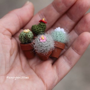 Pu&ograve; includere: Quattro cactus in miniatura all'uncinetto in piccoli vasi. I cactus sono verdi, bianchi e rosa. I vasi sono marroni.