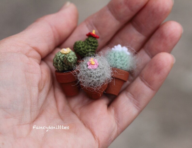 Pu&ograve; includere: Quattro cactus in miniatura all'uncinetto in piccoli vasi. I cactus sono verdi, bianchi e rosa. I vasi sono marroni.