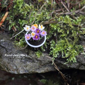May include: A small white pot with purple and yellow crocheted crocuses. The pot is sitting on a mossy rock.