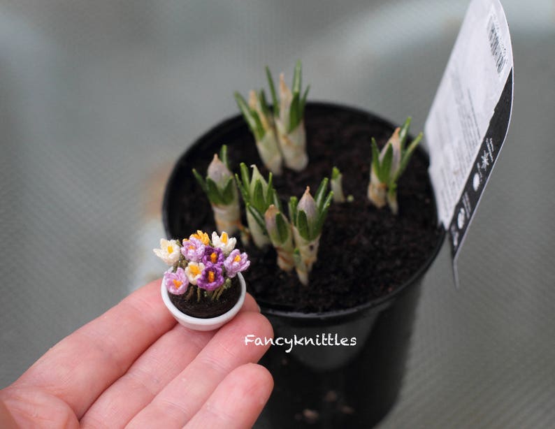 May include: A small crocheted flower arrangement in a white pot. The flowers are purple, white, and yellow. The pot is sitting on a hand.