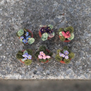 Tiny Crochet African Violet in the Wooden Pot, Dollhouse Miniature Plants, Collectable Mini Floral Gift, Fairy Garden Fake Flower image 9