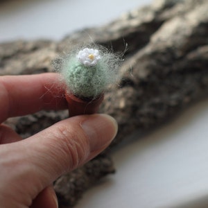 Pu&ograve; includere: Un piccolo cactus all'uncinetto con un fiore bianco e un corpo verde in un vaso marrone. Il cactus &egrave; seduto sulla mano di una persona.