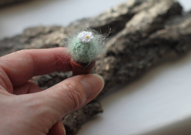 Pu&ograve; includere: Un piccolo cactus all'uncinetto con un fiore bianco e un corpo verde in un vaso marrone. Il cactus &egrave; seduto sulla mano di una persona.