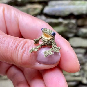 Miniature Crochet Frog Doll