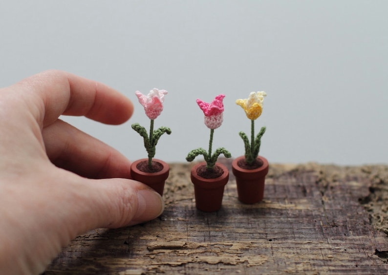 Hunter s tiny tulips