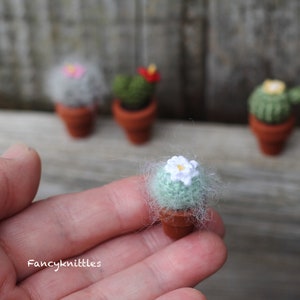 Pu&ograve; includere: Un piccolo cactus all'uncinetto con un fiore bianco in cima, in un vaso di terracotta. Il cactus &egrave; verde e ha una consistenza pelosa. Il cactus &egrave; tenuto in una mano.