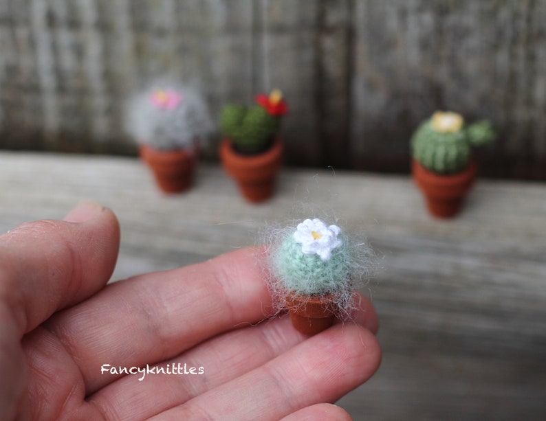 Pu&ograve; includere: Un piccolo cactus all'uncinetto con un fiore bianco in cima, in un vaso di terracotta. Il cactus &egrave; verde e ha una consistenza pelosa. Il cactus &egrave; tenuto in una mano.