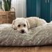 see more listings in the Dog + Cat Bed section