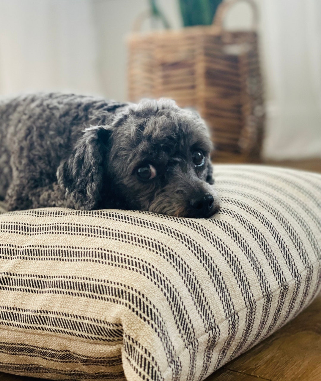 Ticking Stripe Dog Bed Cover, Black and Tan Striped Pet Bed