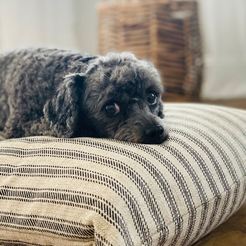 Ticking Stripe Dog Bed Cover // Black and Tan Striped Pet Bed Etsy