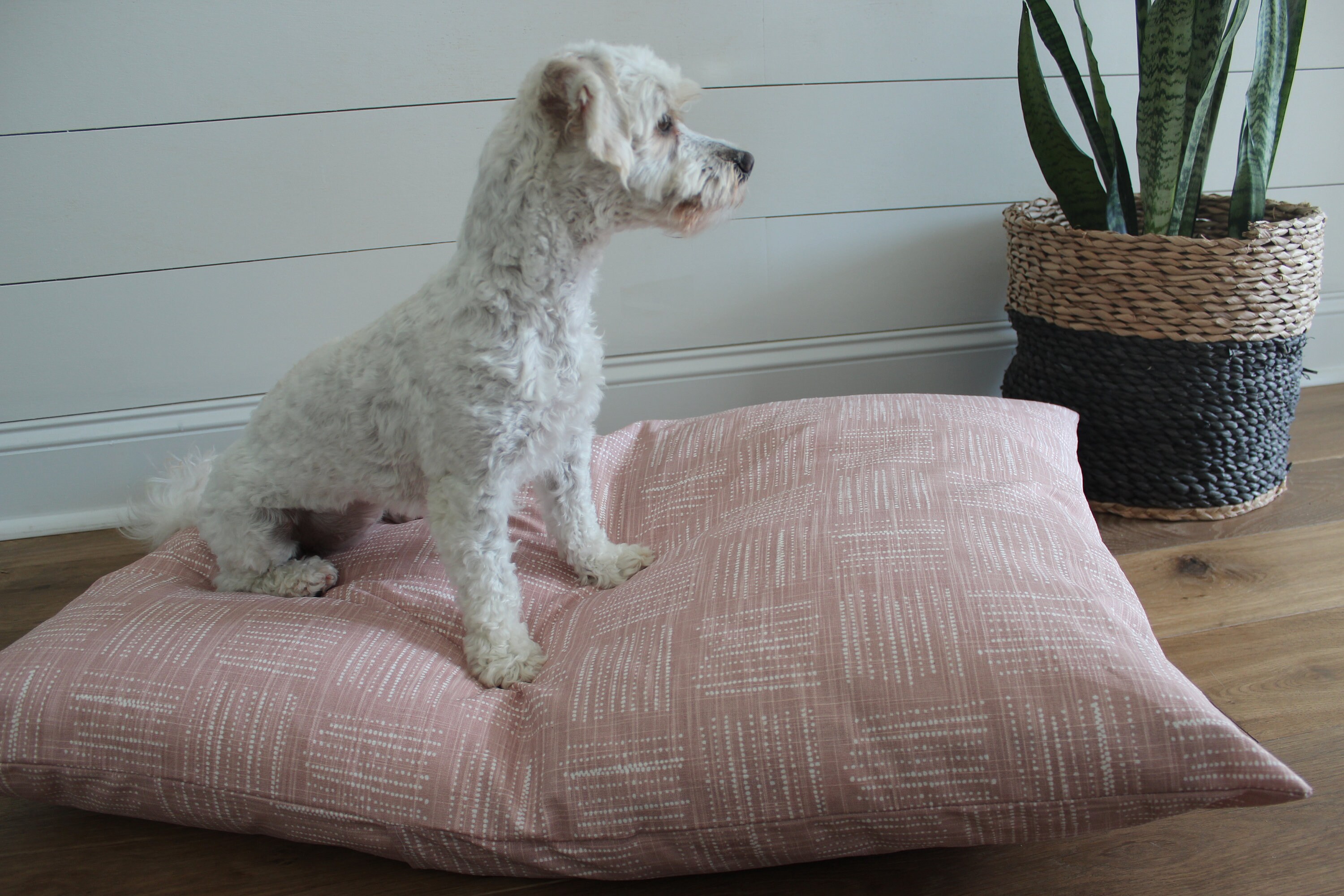 custom dog bed covers