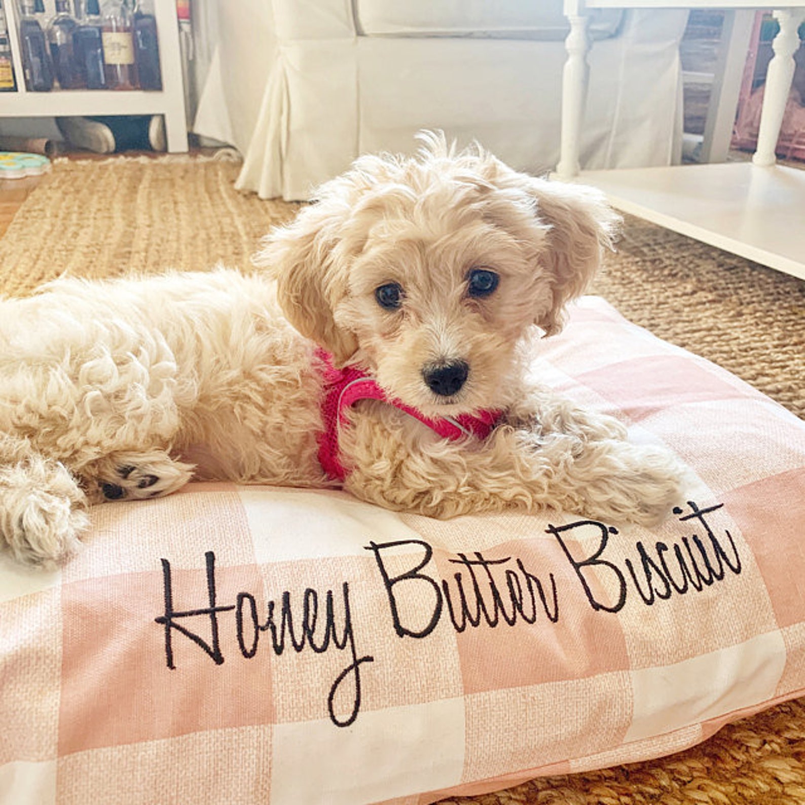 8+ Stylish Pink Dog Beds For Australian Dogs