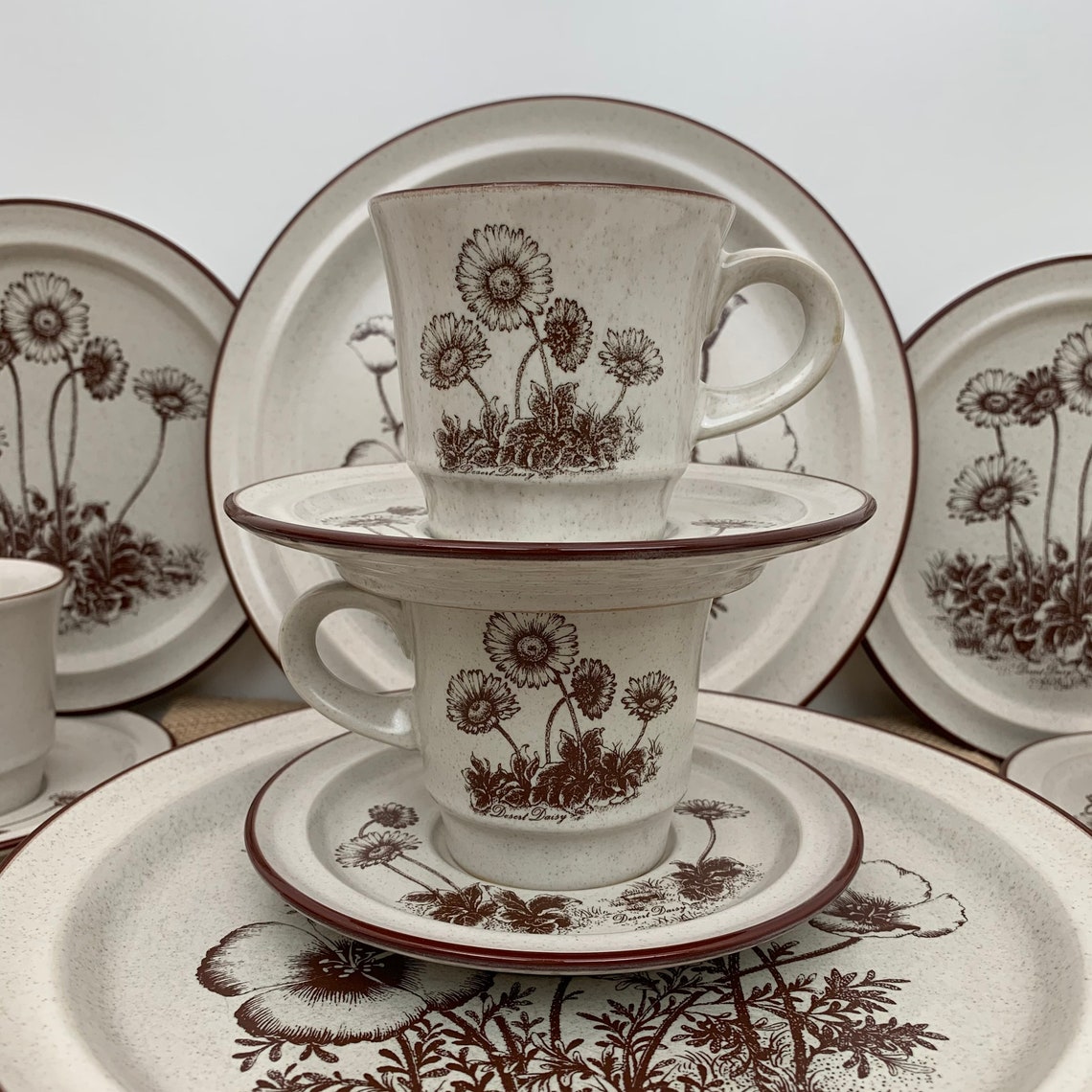 Vintage Noritake Stoneware desert Flowers Pattern 8341 Etsy