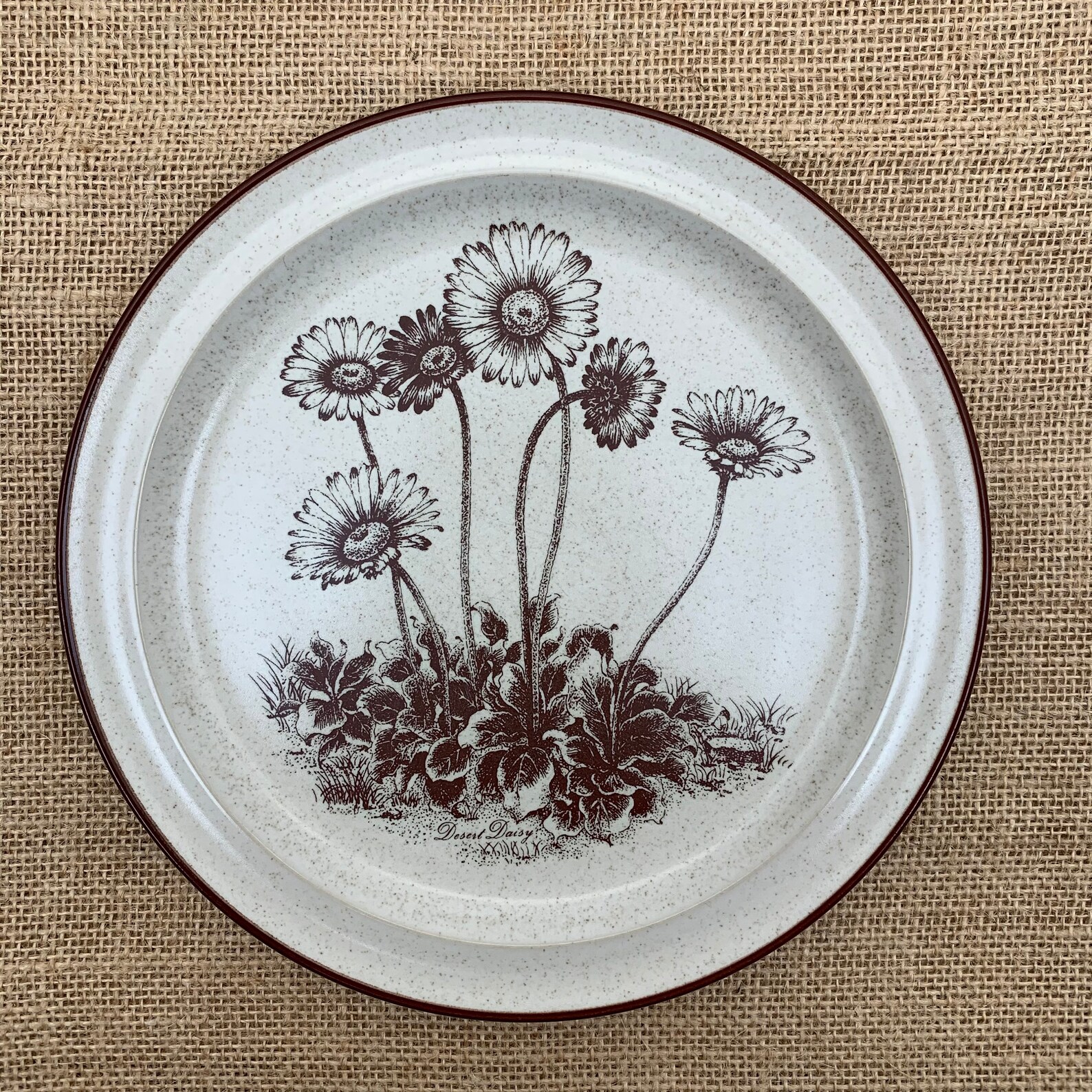 Vintage Noritake Stoneware desert Flowers Pattern 8341 Etsy