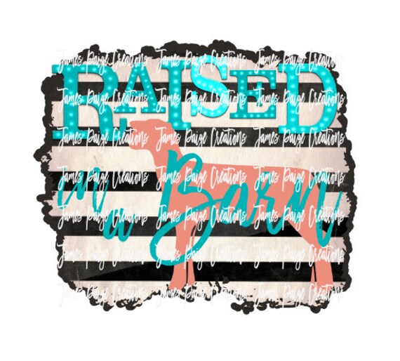 Raised In A Barn Digital File For Sublimation Show Lamb Etsy